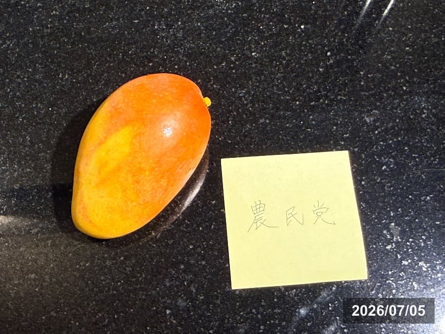 台南 玉井の市場で購入