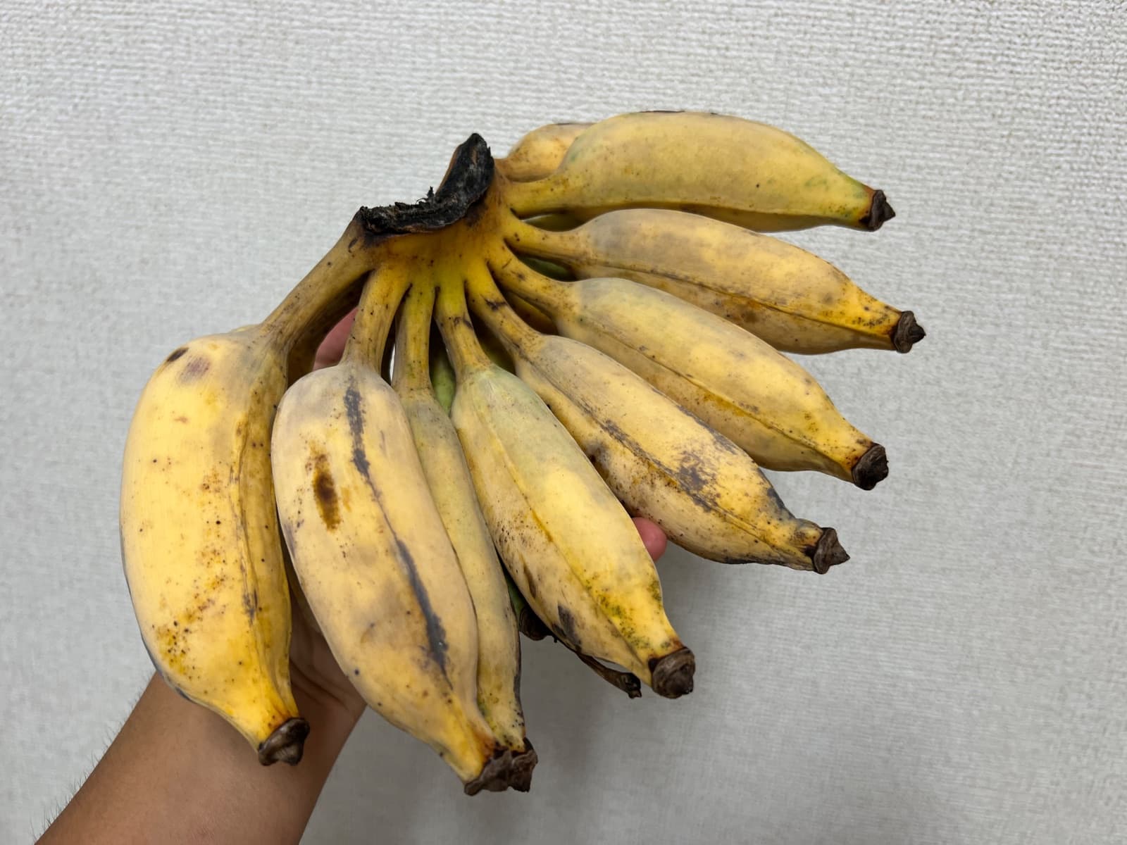銀バナナ