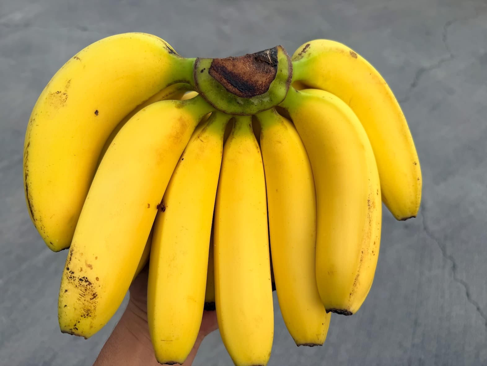 ããã